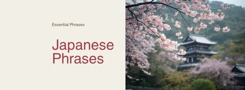 Essential Japanese Phrases for Tourists: 30+ Must-