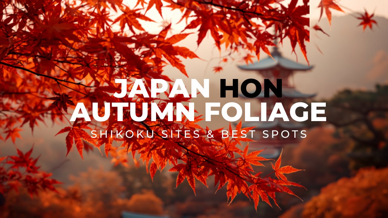 Red and orange autumn foliage koyo leaves in Japan forest